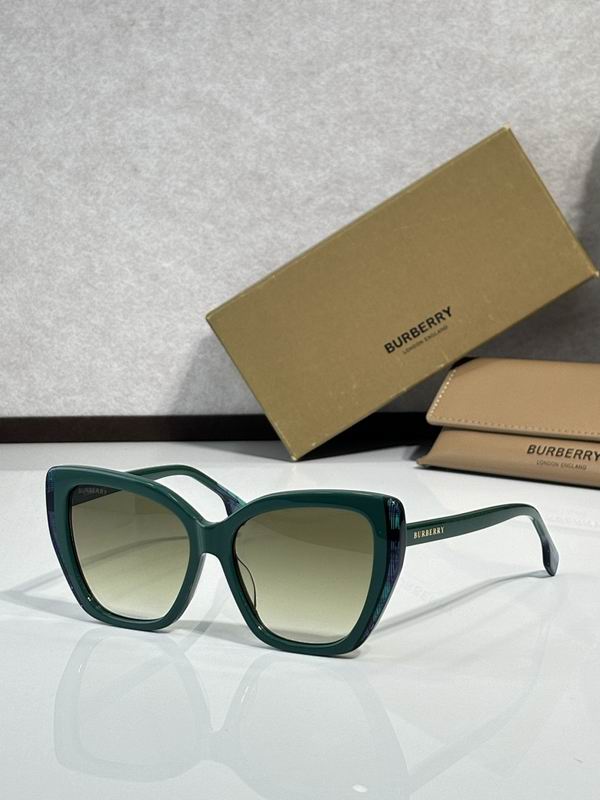 Burberry Glasses  sms (119)