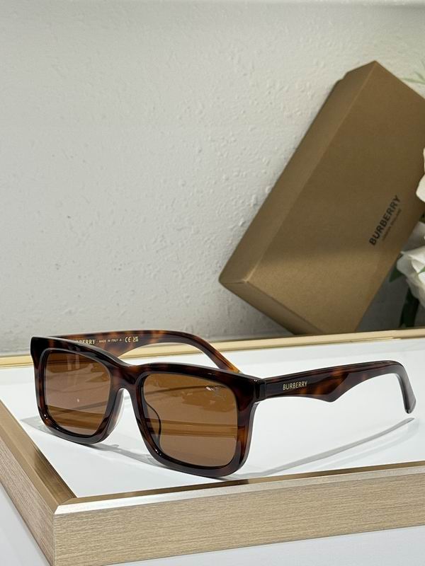 Burberry Glasses  sms (12)