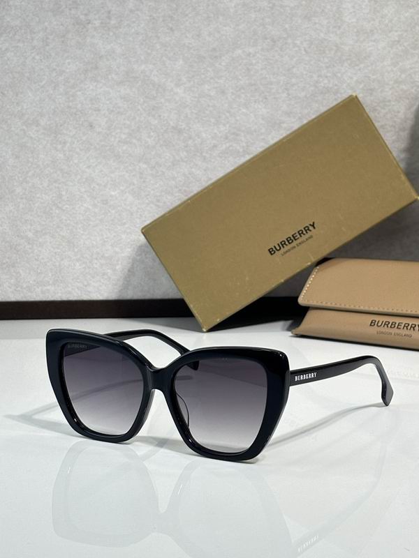 Burberry Glasses  sms (120)