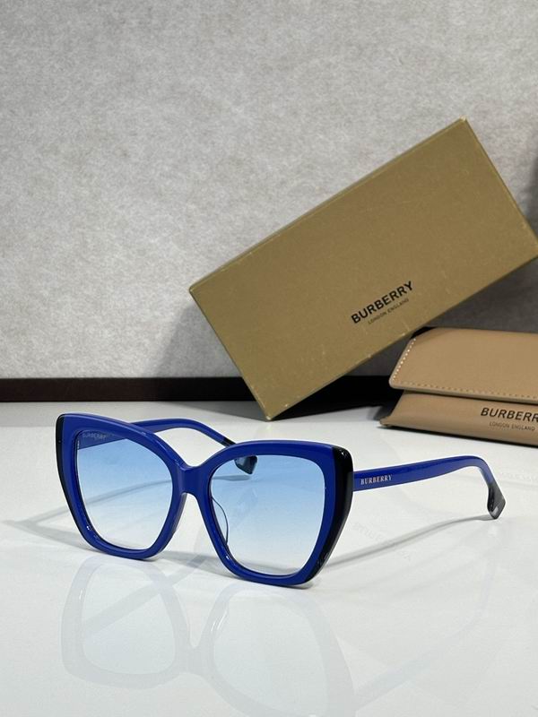 Burberry Glasses  sms (121)
