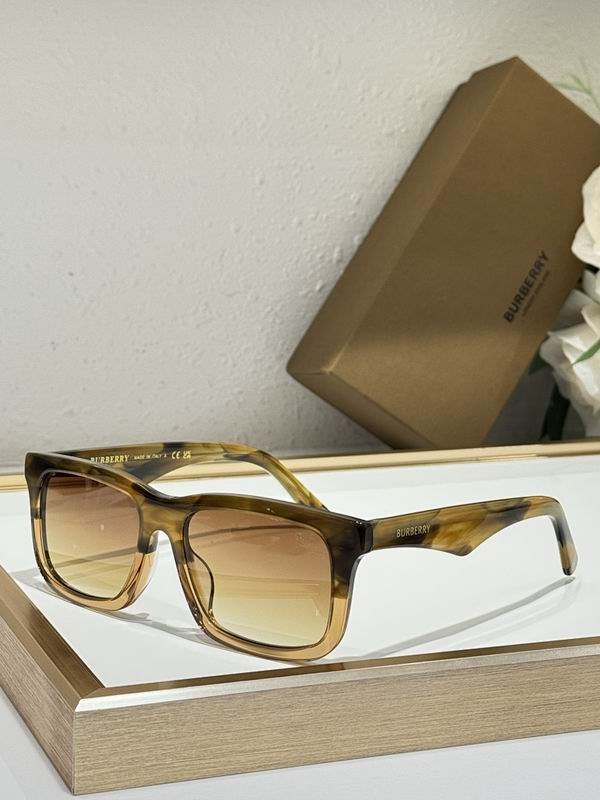 Burberry Glasses  sms (13)