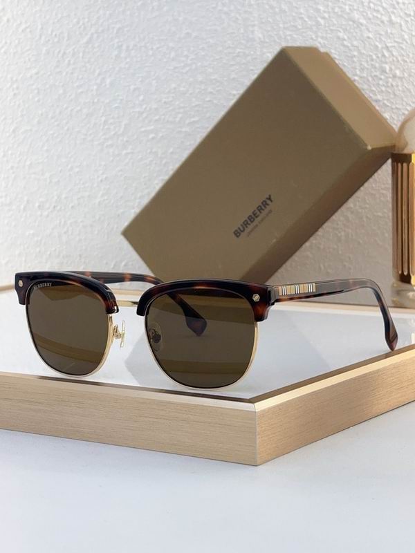 Burberry Glasses  sms (130)