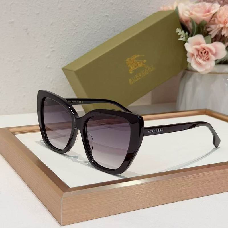 Burberry Glasses  sms (138)