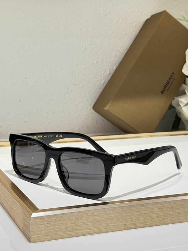Burberry Glasses  sms (14)