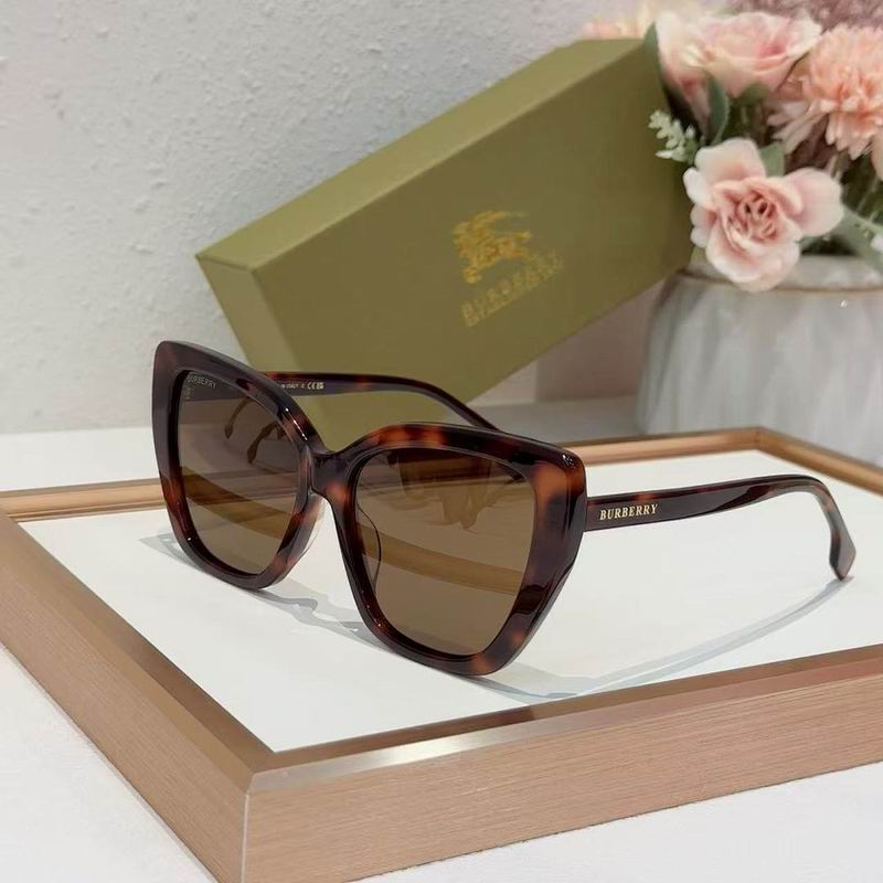 Burberry Glasses  sms (141)