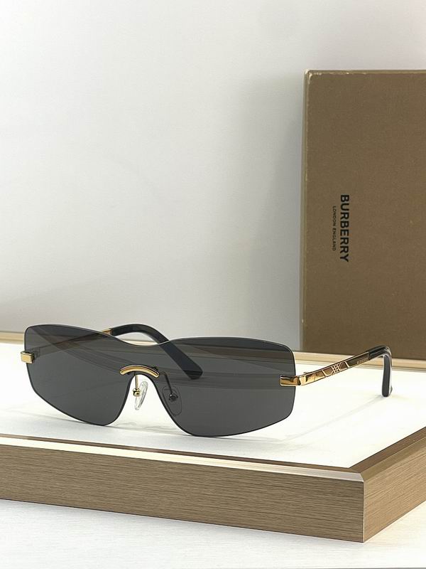 Burberry Glasses  sms (156)