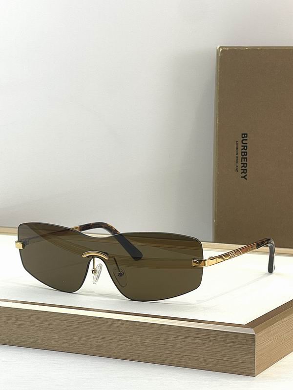 Burberry Glasses  sms (157)