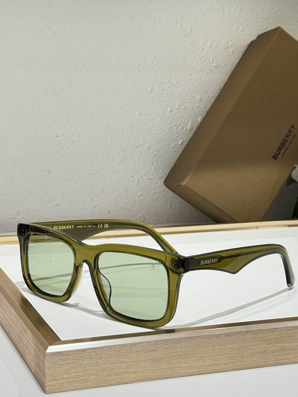 Burberry Glasses  sms (16)