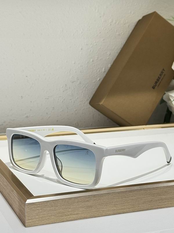 Burberry Glasses  sms (17)
