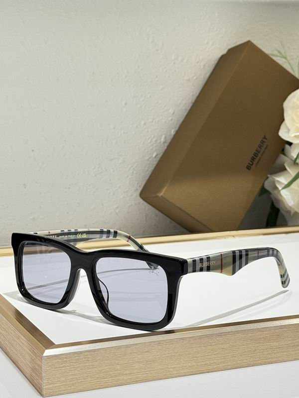 Burberry Glasses  sms (18)