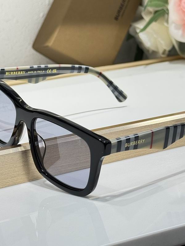 Burberry Glasses  sms (19)