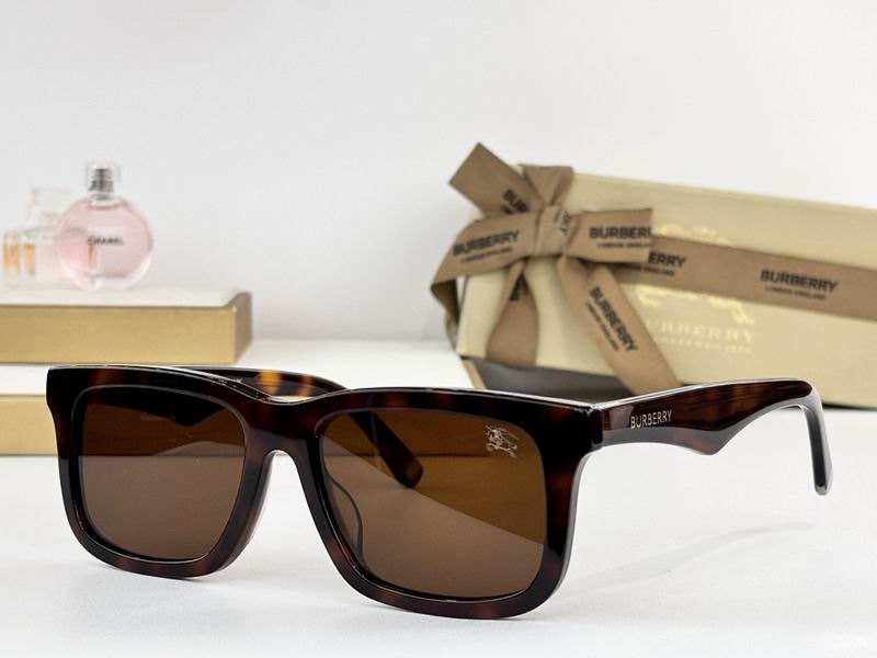 Burberry Glasses  sms (2)