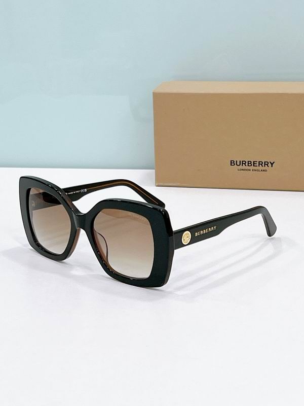Burberry Glasses  sms (22)