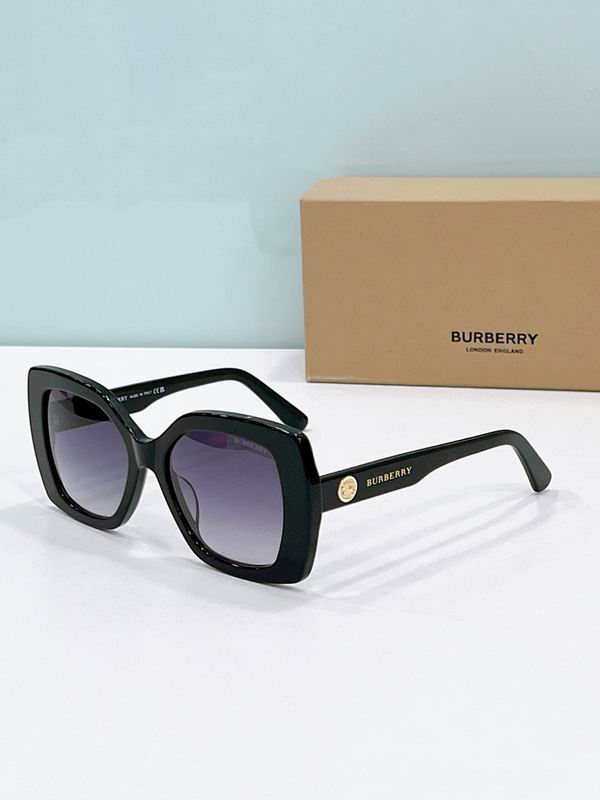 Burberry Glasses  sms (23)