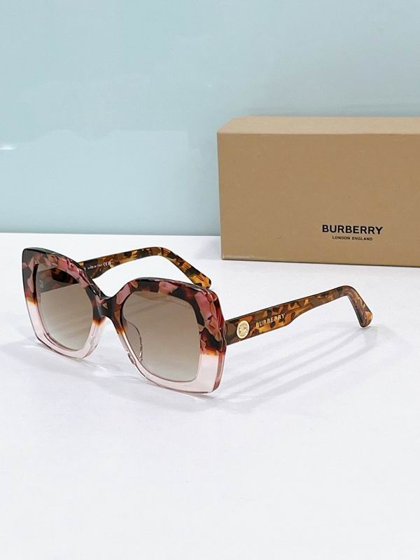 Burberry Glasses  sms (24)