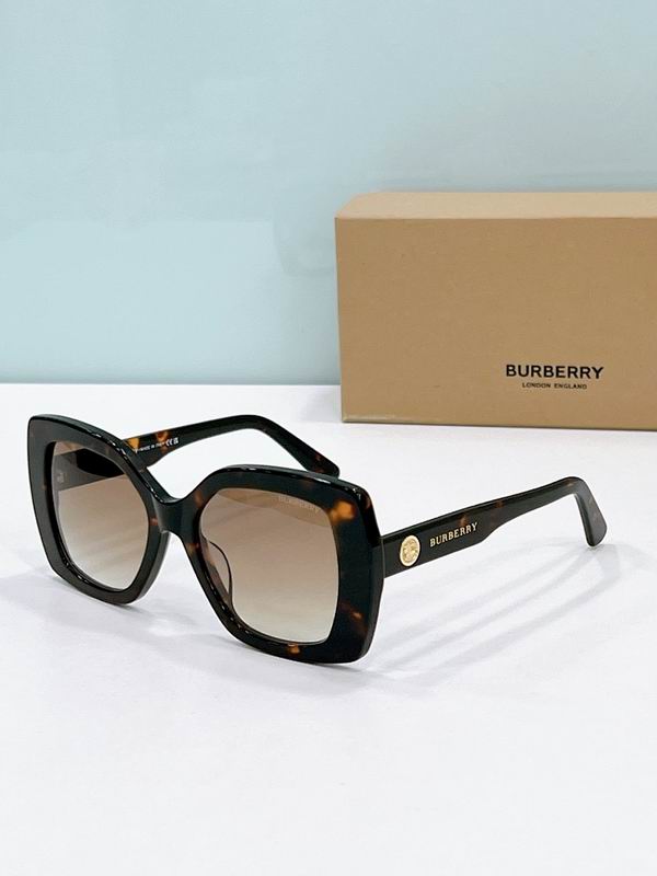 Burberry Glasses  sms (25)