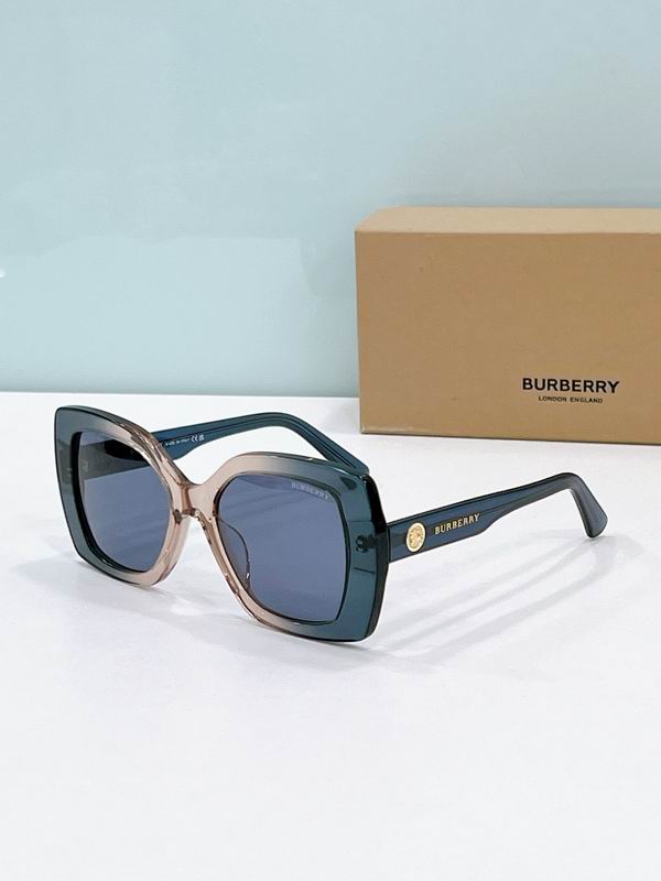 Burberry Glasses  sms (26)