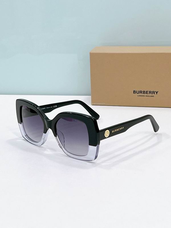Burberry Glasses  sms (27)
