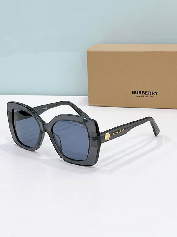 Burberry Glasses  sms (28)