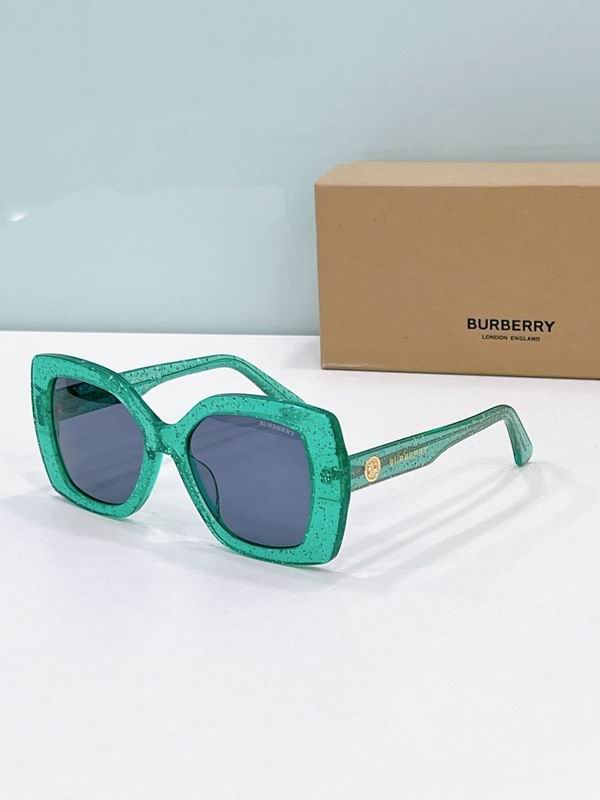 Burberry Glasses  sms (29)