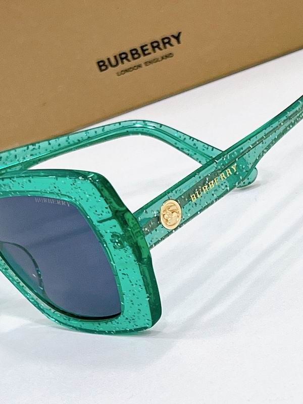 Burberry Glasses  sms (31)