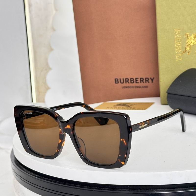 Burberry Glasses  sms (37)