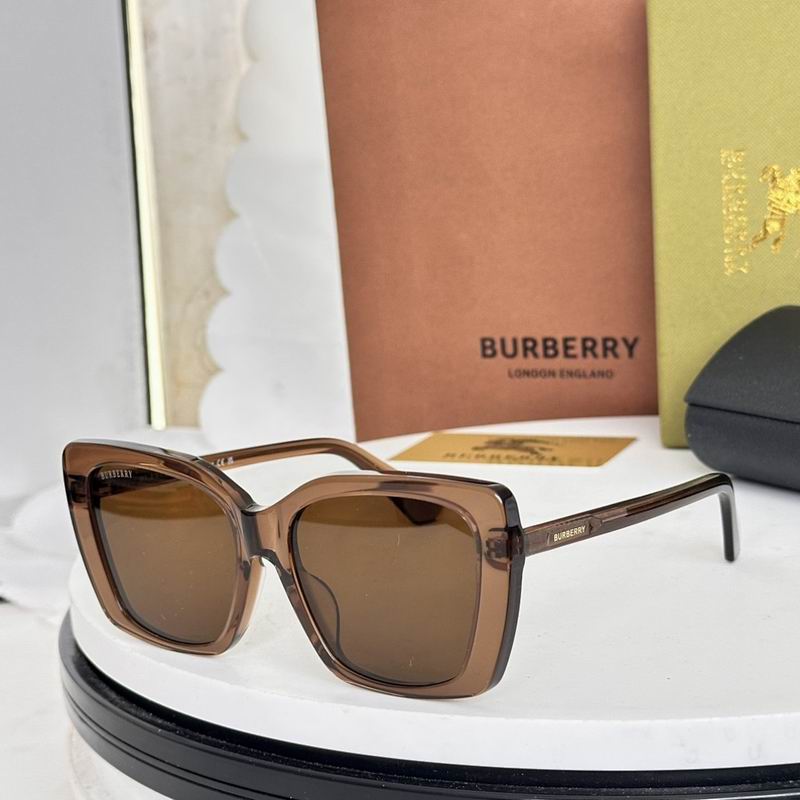 Burberry Glasses  sms (41)