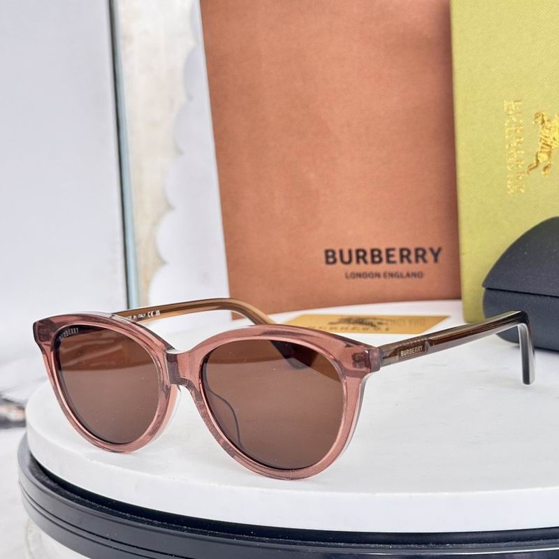 Burberry Glasses  sms (48)