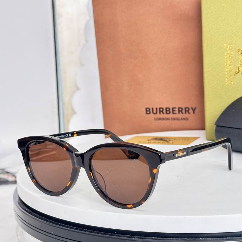 Burberry Glasses  sms (49)