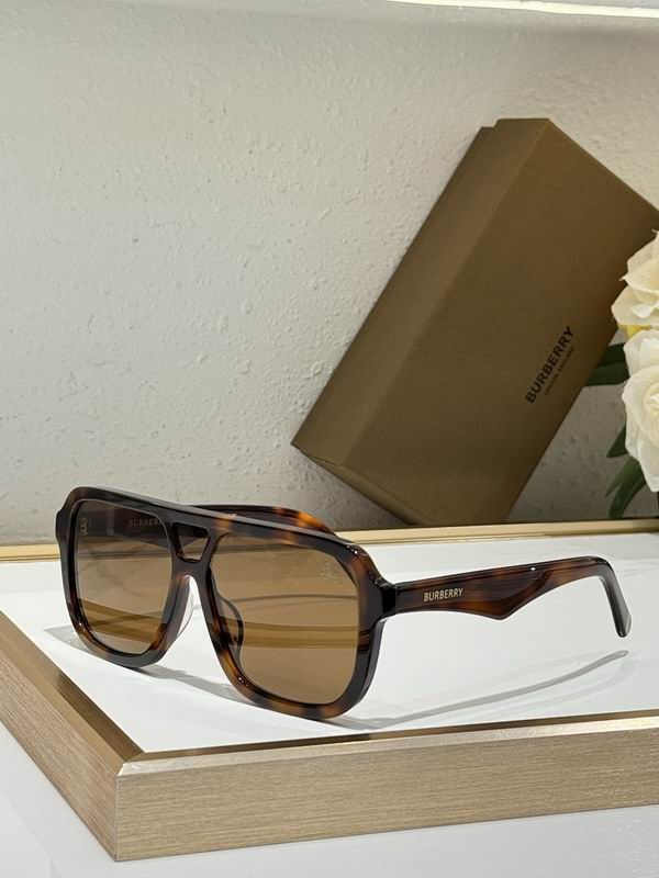 Burberry Glasses  sms (57)