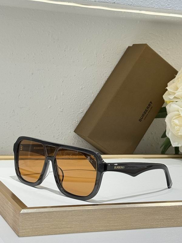 Burberry Glasses  sms (59)