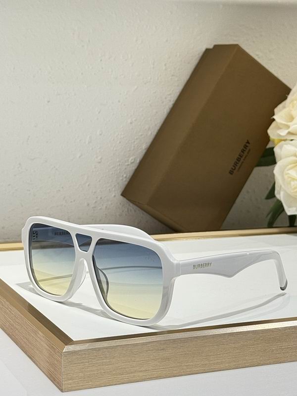 Burberry Glasses  sms (61)