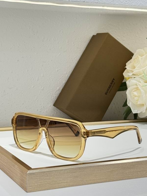 Burberry Glasses  sms (62)