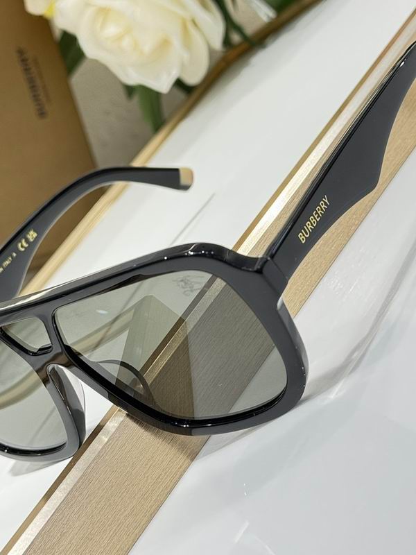 Burberry Glasses  sms (63)
