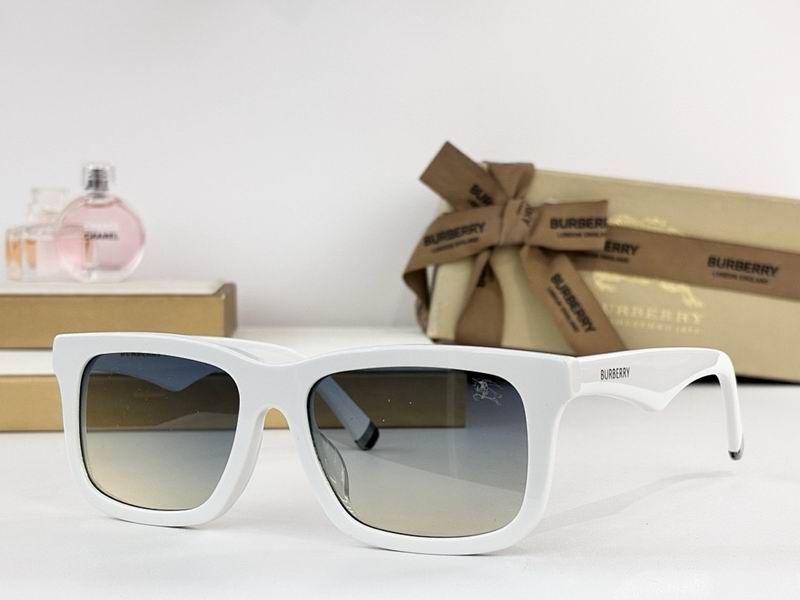 Burberry Glasses  sms (7)