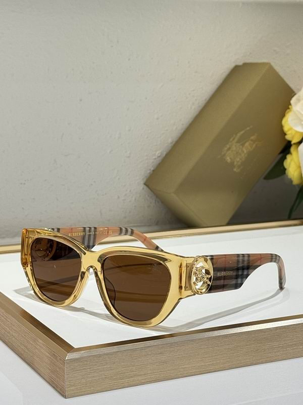 Burberry Glasses  sms (78)