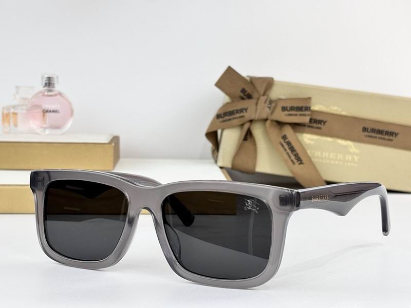Burberry Glasses  sms (8)