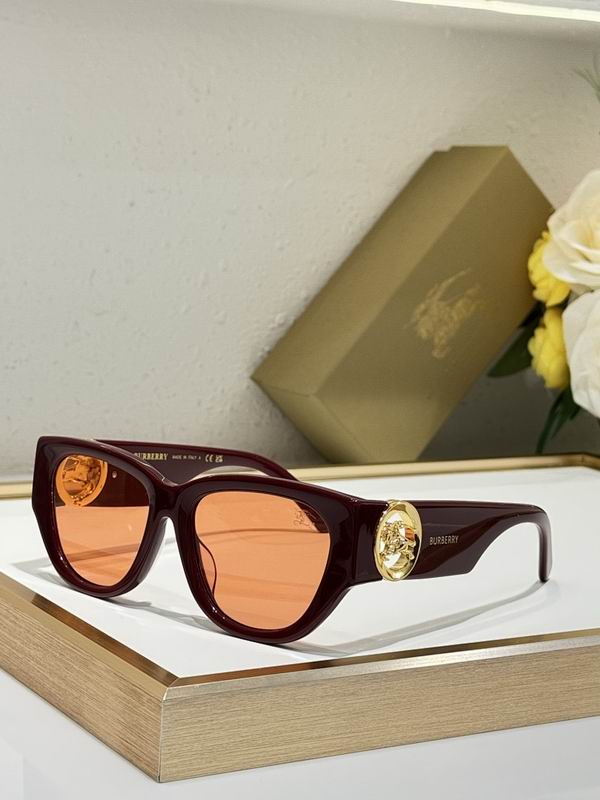 Burberry Glasses  sms (80)