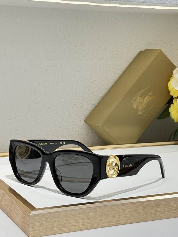 Burberry Glasses  sms (81)