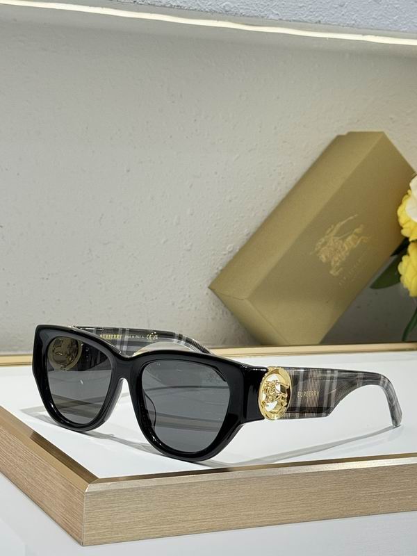 Burberry Glasses  sms (82)