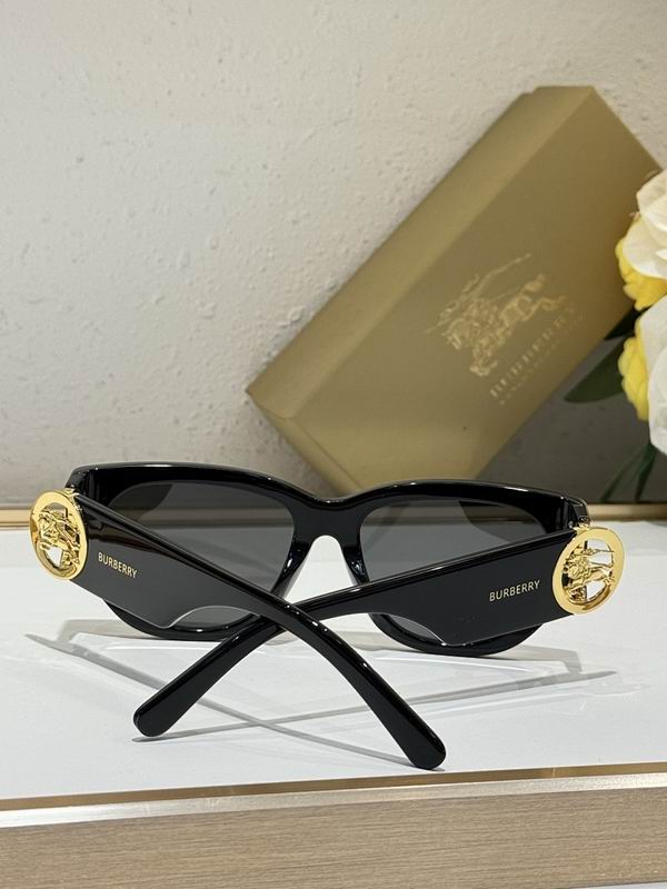 Burberry Glasses  sms (83)