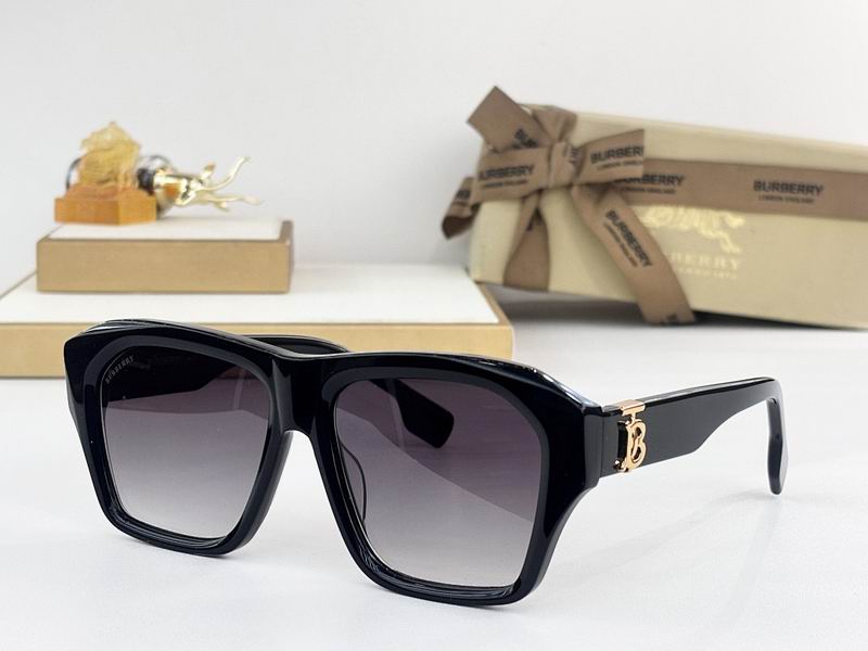 Burberry Glasses  sms (89)