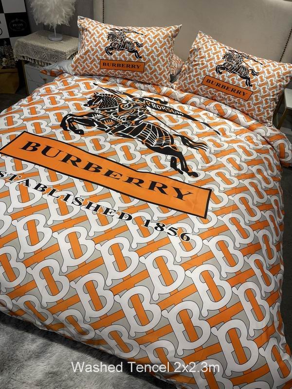 Burberry Washed Tencel 2x2.3 m   (4)