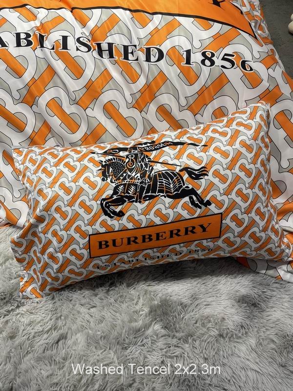 Burberry Washed Tencel 2x2.3 m   (5)