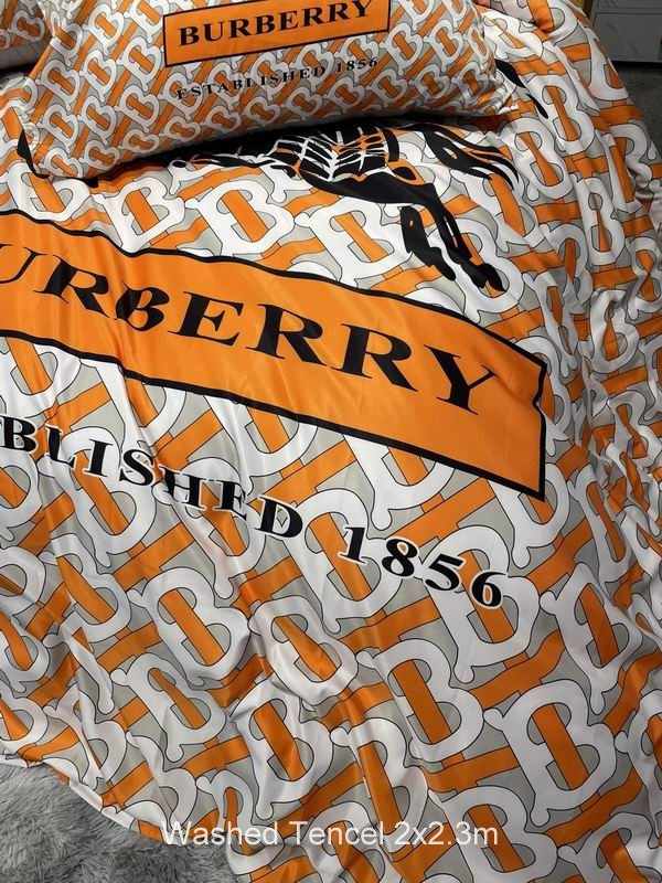 Burberry Washed Tencel 2x2.3 m   (6)