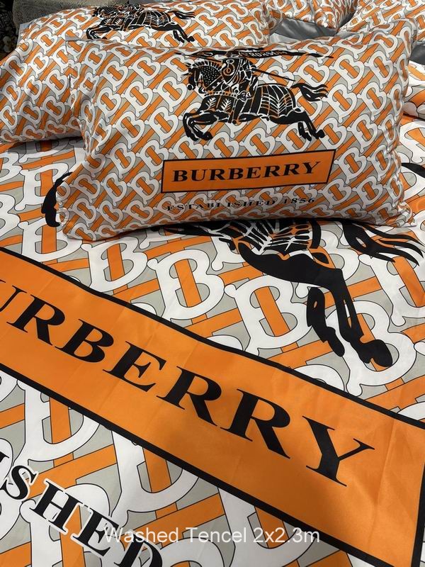 Burberry Washed Tencel 2x2.3 m   (7)