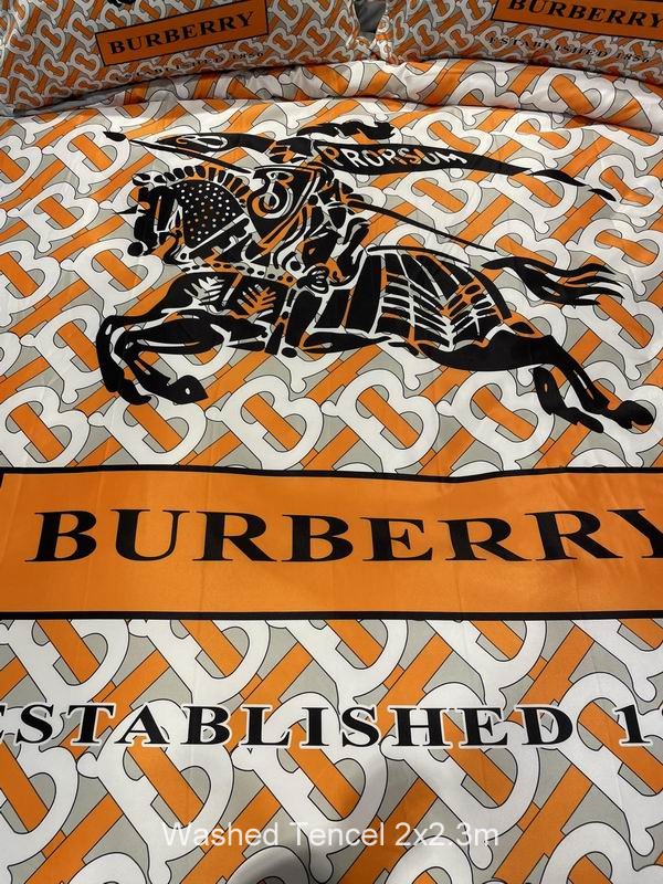 Burberry Washed Tencel 2x2.3 m   (8)