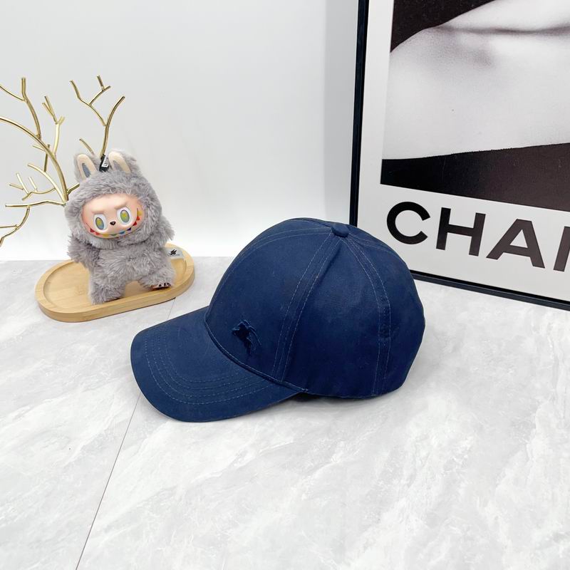 Burberry cap dx (2228)