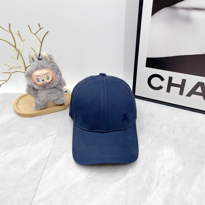 Burberry cap dx (2229)