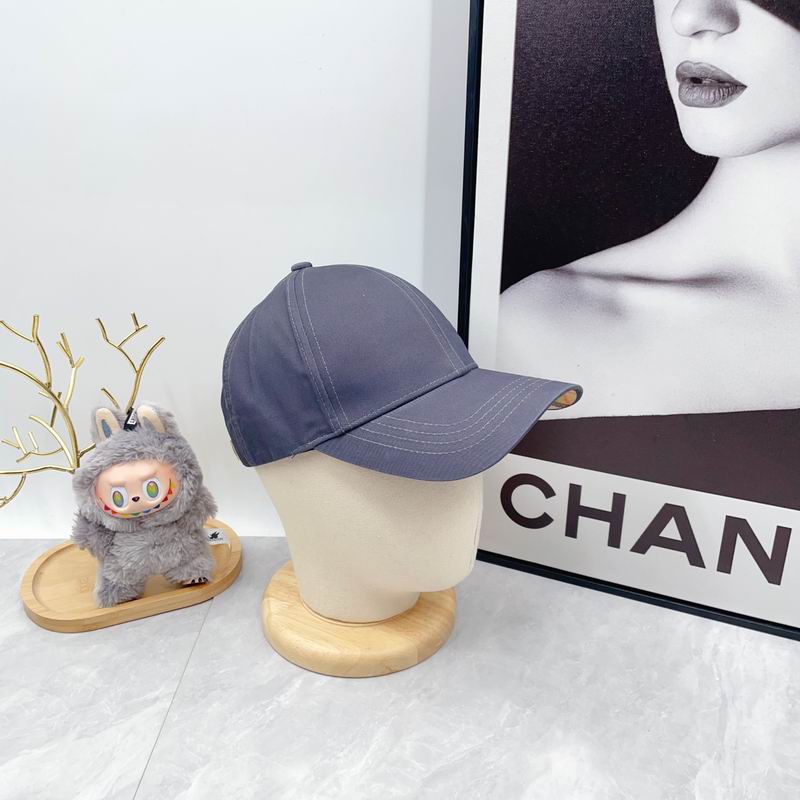 Burberry cap dx (2248)